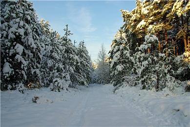 《刺客信条：幻景》PC优化堪忧 4090 4K画面最低只有8帧